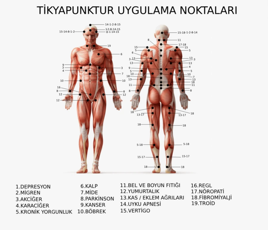 Sağlık hizmetleri