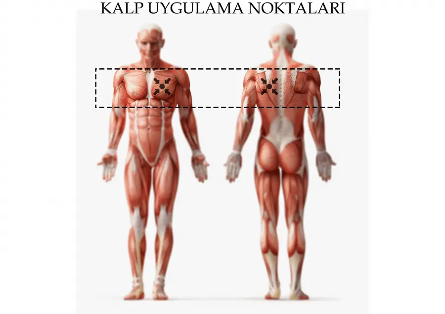 Kalp ve Damar Hastalıkları